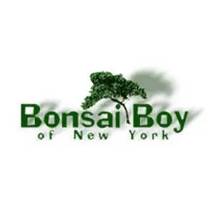 bonsai-boy-of-new-york