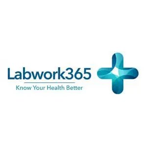 labwork365