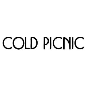 cold-picnic